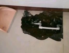 旌阳卫生间测漏水多少钱